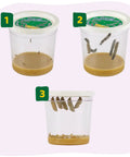 Cup Of Caterpillars Basic Refill Kit With Five Live Painted Lady Caterpillars And Food For A Butterfly Garden Habitat Perfect For Hands On STEM Activities For Kids And Classrooms, three view cups