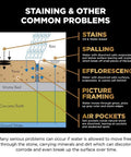 Diagram of staining issues in pavers, detailing water problems like spalling and efflorescence with clear labels.