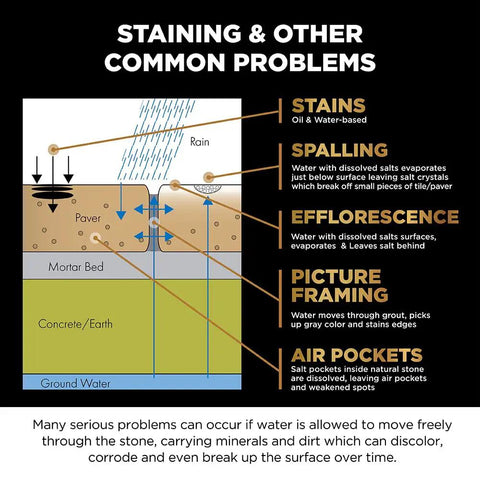 Diagram of staining issues in pavers, detailing water problems like spalling and efflorescence with clear labels.