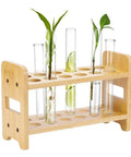 12 Hole Test Tube Rack Made From Bamboo Wood Lab Stand For Chemistry Classrooms And Experiments, Features Interchangeable 26mm 27mm And 28mm Trays