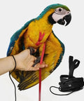 Adjustable Parrot Harness With Leash For Outdoor Flight Training 78.7 Inch Rope Kit For Small To Large Birds Skin Friendly Straps M Size