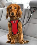 Adjustable Dog Car Seat Belt With Bungee Cord And Universal Headrest Mount, 2 Pack Pet Travel Safety Harness For Road Trips, Secure Quick Snap Buckle keeps a dog secure in a vehicle.
