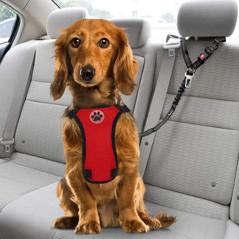 Adjustable Dog Car Seat Belt With Bungee Cord And Universal Headrest Mount, 2 Pack Pet Travel Safety Harness For Road Trips, Secure Quick Snap Buckle keeps a dog secure in a vehicle.