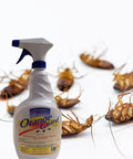All Natural D Limonene Go To Pest Control Spray With Orange Peel Oil 32oz bottle near dead roaches, eco-friendly, for indoor use