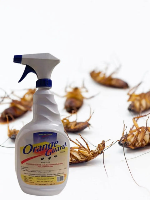 All Natural D Limonene Go To Pest Control Spray With Orange Peel Oil 32oz bottle near dead roaches, eco-friendly, for indoor use