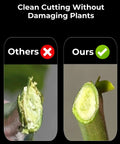 Comparison of stem cuts showing clean plant cut versus damaged cut, highlighting 8.5 Inch SK5 Bypass Pruning Shears For Gardening With 4X Sharper Cut Pro Grade Beast Pruners Non Breaking Japanese Steel German Technique Ergonomic Clippers Ideal Gift For Women And Men Who Love Plants