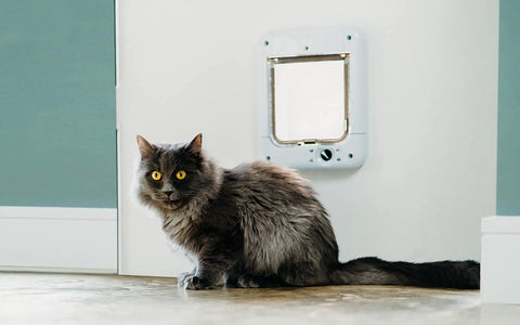 Cat by Microchip Activated Cat Flap 360 Door With ISO And AVID Compatibility For Up To 30 Cats Or Small Dogs No Fuss Setup Works With Single