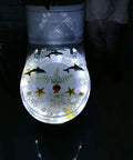 Slick Transparent Dolphin Toilet Seat Featuring Smooth Glide Soft Close Lid Cover And Built In Led Night Light illuminated design.