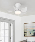 Living room with Dope 24 Inch Flush Mount Ceiling Fan With Light Kit, Remote Control, 5 Blades, Low Profile White Indoor Ceiling Fan