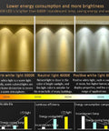 Comparison of warm, neutral, and positive white light from LED recessed lighting; 3000K, 4000K, 6000K examples displayed.