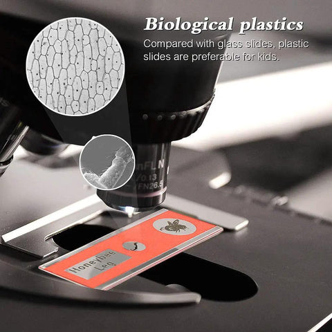 48 Piece Kids Microscope Slides With Prepared Specimens For Stereo Microscopes Animals Insects Plants And Flowers Colorful Cartoon Patterns slide under microscope