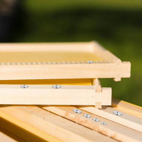 Stacked wooden frames with dowel and tenon transfer plugs set for woodworking 20 pcs doweling centering pins visible on edges.