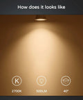Room illuminated by Dimmable MR16 LED Bulbs With GU5.3 Bi-Pin Base, 2700K Soft White, showing 40-D narrow beam angle.