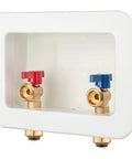 Washing Machine Outlet Box With Center Drain, Push To Connect Inlet One Half Inch, Outlet Three Quarter Inch Male Thread, Brass Ball Valves