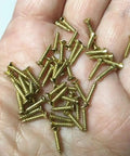 Hand holding Brass Tiny Miniature Screws Pack Of 50, 10mm Long, M2 Size, Ideal For 1:6 And 1:12 Scale Model Making And Dollhouse Building