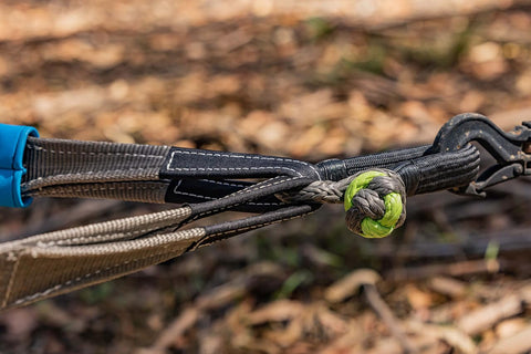 Soft Shackle For Off Road Recovery 30,800 Lbs Breaking Strength connected to tow ropes in a forest setting.