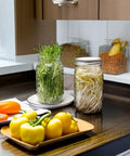 No Fuss All In One Sprouting Jar Kit With Wide Mouth Quart Mason Jars, Stainless Steel Sprout Lids on kitchen counter