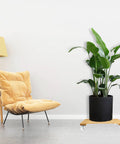 Three Pack Bamboo Plant Caddies with Rolling Wheels displaying a plant on a 12 inch square stand next to a beige chair indoors.