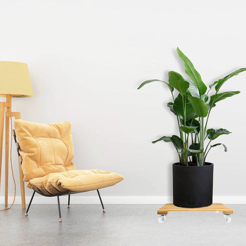 Three Pack Bamboo Plant Caddies with Rolling Wheels displaying a plant on a 12 inch square stand next to a beige chair indoors.