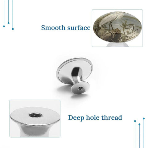 2 Pack Stainless Steel Round Cabinet Knobs With Screws For Modern Kitchen Drawer Hardware Built To Last And Swamp Egret Inspired
