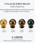 Snap Up Five Pack One Inch Unlacquered Solid Brass Cabinet Knobs Round Retro Pulls No Fuss Install For Kitchen Drawers And Closets Total Room Refresh Standout showing patina progression.