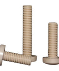 Hardcore PEEK Plastic M3 Metric Phillips Pan Head Screw Assortment Kit showing various lengths of beige screws.