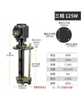 Heavy Duty Industrial Grade Coolant Circulation Pump 380V Three Phase Electric Motor Built Different For Wire Cutters And Centerless Grinders Shop Ready Setup with detailed measurement labels.