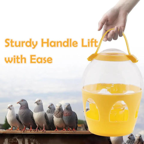 2L Water Dispenser Feeder With Handle For Pigeons, Poultry, Parrot, Duck Or Chicken next to pigeons showing handle use