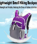 Purple and gray lightweight small hiking backpack on a blue sky background.