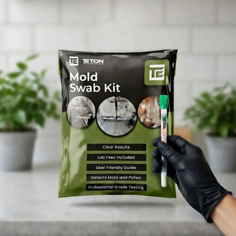 Mold Test Kit With Lab Fees Included No Surprises For Home Use Detects 20 Plus Mold Types And Pollen Easy To Follow Guide Professional Grade Indoor Mold Testing One Pack in black packaging held by gloved hand