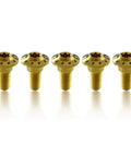 Gold Titanium Tapered Torx Bolts M8x22 For Suzuki Hayabusa GSX1300R 2008 2020 And Suzuki B King GSX1300 2008 2010 Rear Brake Disc Rotor Mounting Bolts Set Of 6 Heavy Duty Race Ready CNC Machined Precision With Mirror Finish