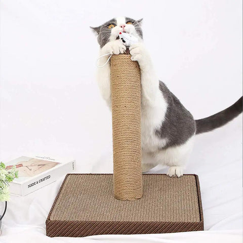 Cat playing with a scratching post wrapped in natural jute rope, showcasing its use for pet care and durability.