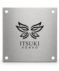 4-Hole Metal Mounting Plate For Heavy-Duty Furniture Repair And Cabinet Reinforcement Pre-Drilled Connector Plate with logo