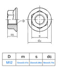 Technical drawing of 4 Piece M12 X 1.25mm Pitch Serrated Flange Nut Set Hex Lock Nuts Self Locking For Anti Loosening, Stainless Steel 304