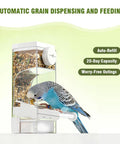 No Sweat Semi Enclosed Automatic Bird Feeder With Generous Fifty Ml Seed Stash For Parrots Canaries And Cockatiels Easy Open Lid with bird feeding.