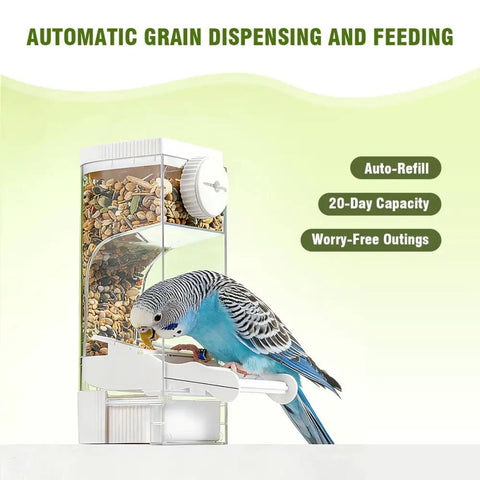 No Sweat Semi Enclosed Automatic Bird Feeder With Generous Fifty Ml Seed Stash For Parrots Canaries And Cockatiels Easy Open Lid with bird feeding.