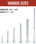 Various sizes of zinc-plated screws showing diameter and length in a product display.