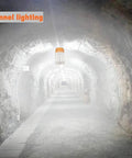 250W LED Temporary Work Light For Indoor Mine And Job Sites illuminating tunnel, portable hanging light with stainless steel shield.