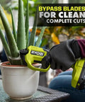 Knock Out Overgrown Branches Like A Pro 18V Brushless Cordless Pruner cutting an aloe plant in a pot.