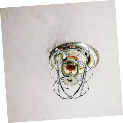 Tough As Nails 2 Pack Fire Sprinkler Head Protector Cage Heavy Duty 1/2 Inch Metal Shield protecting a sprinkler head. 