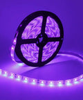 Ultra Bright 60W UV LED Black Light Strip Waterproof IP65 5M 300 LEDs 395nm-405nm SMD3528 coiled and glowing purple