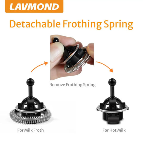 Barista-Grade Stainless Steel Milk Frother Whisks For Aeroccino 3 4 Plus Replacement 2 Pack shown with detachable springs