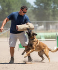 Trainer uses Dog Bite Sleeve Training Pro Grade For Large Dogs Heavy Duty Jute Gear With Safe Padded Arm Sleeve for K9 training.