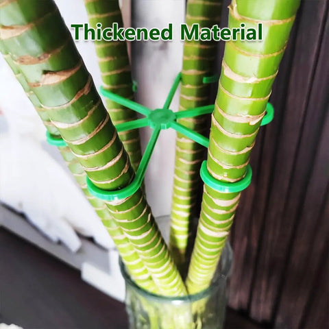 8 Piece Climbing Plant Stem Supports Kit With 4 Sizes Reusable Plastic Garden Stakes For Indoor Outdoor Plants Flower Growth Accessories Stem Holders For Thriving Growth