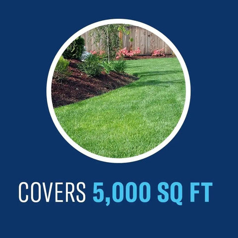 Image of a vibrant green lawn, illustrating lawn space covered by Fungus Control For Lawns Granules 10 Lb Covers 5,000 Sq Ft.