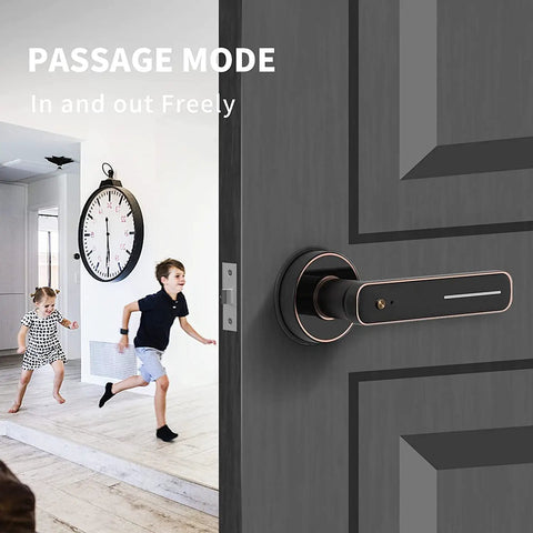 Biometric Fingerprint Door Lock With Keyless Entry, Lightning Fast 0.1 Second Unlock on a grey door with kids running