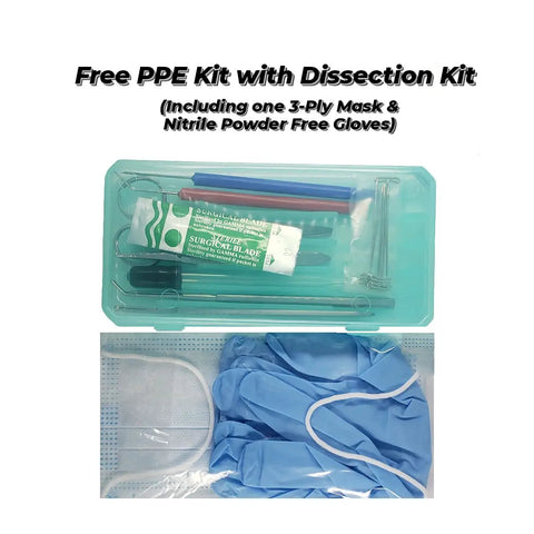 24 Piece Biology Dissection Kit With Stainless Steel Tools And Durable Case For Students And Teachers, High Precision Dissection Set, Easy To Clean And Store In Autoclavable Case For Classroom Or Home Use with PPE mask and gloves