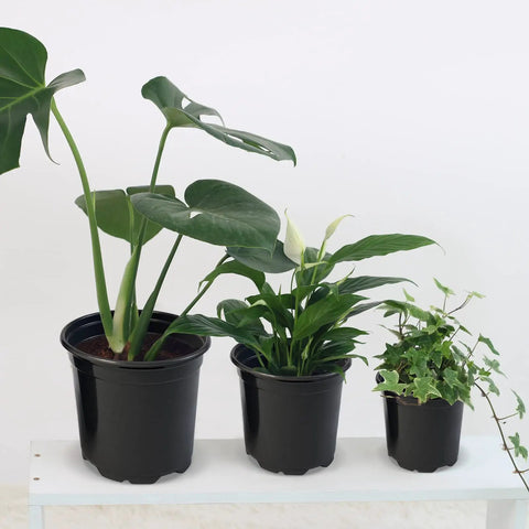4 Inch Plastic Nursery Pots 100 Pack With Drainage Holes For Seedlings, Cuttings, And Transplants holding green plants