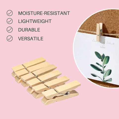 Top Shelf 100 Piece Mini Wooden Clothespins With Handy Storage Bag Dead Serious Grip Birch Hardwood Clips displaying plant photo on corkboard.