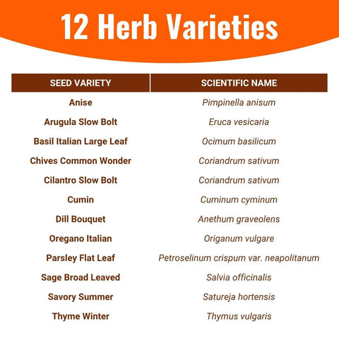 Massive 4000 Heirloom Seed Herb Kit With 12 Varieties For Indoor And Outdoor Garden Non GMO Vegetable And Fruit Seeds 2026 Season High Yield Starter Pack list